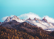 九游体育-九游官网：开启你的游戏新纪元