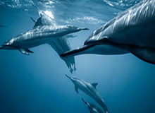 九游体育app-秀我中国｜“苏超”泰州队队员殷国斌：有些热爱，永远不会过期！